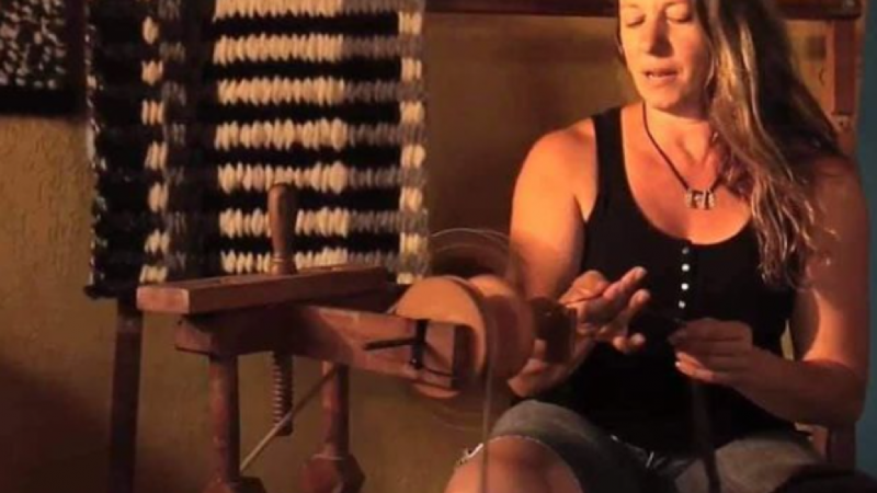 Araucaria Pic1 Patricia Rangel